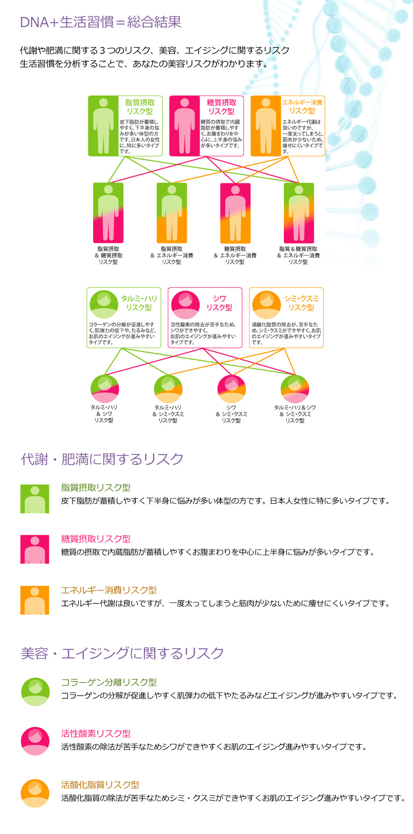 DNA+生活習慣＝総合結果