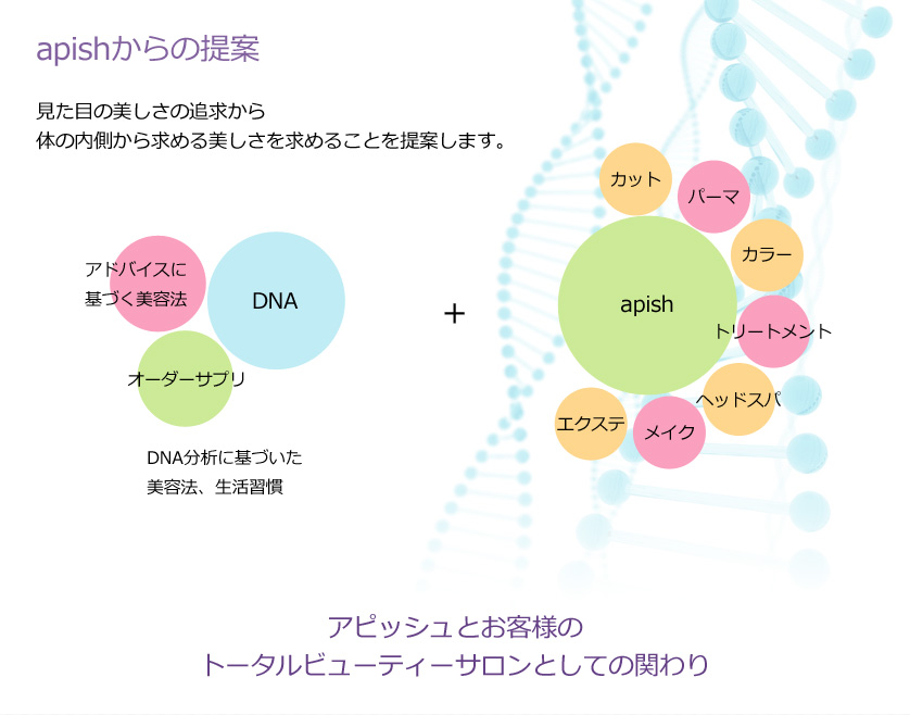 apishからの提案