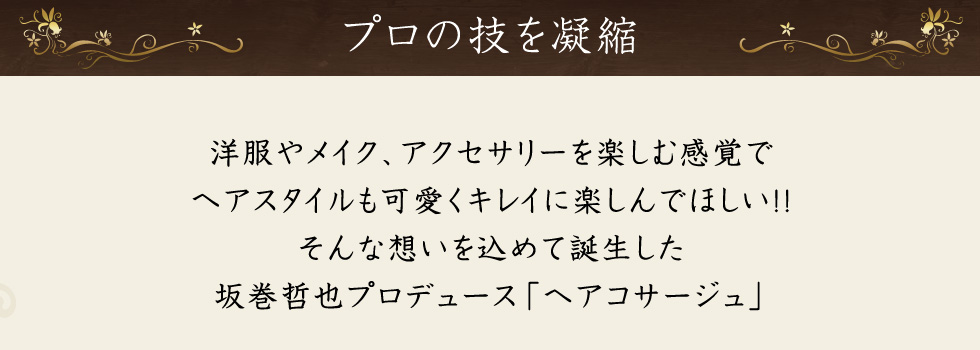 坂巻哲也プロデュース フルウィッグ