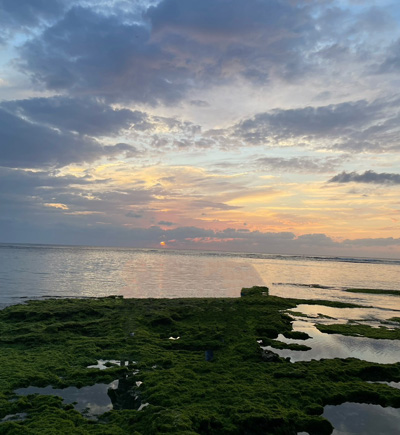 apish 端野 珠貴 写真